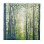 Carreau Mystical forest<br><div class="desc">Tall trees in spring in a mystical forest</div>