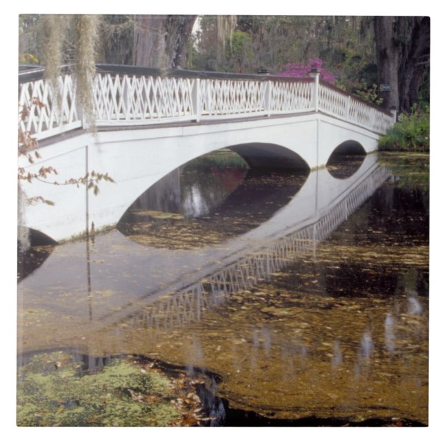 Carreau N.A., États-Unis, Caroline du Sud, Charleston.Magn (Devant)