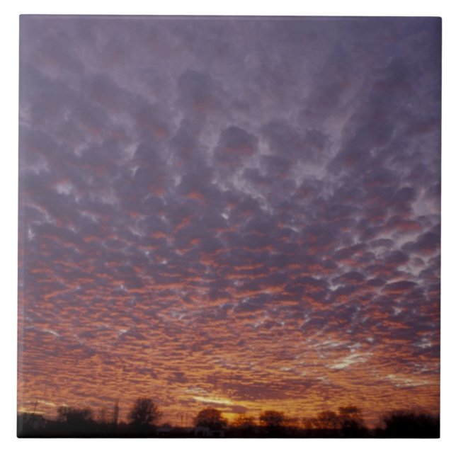 Carreau N.A., États-Unis, Nouveau-Mexique, près de Las Cru (Devant)