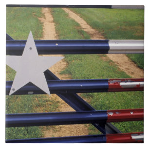 Carreau N.A., États-Unis, Texas, lac Buchanan, drapeau du