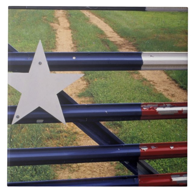 Carreau N.A., États-Unis, Texas, lac Buchanan, drapeau du  (Devant)