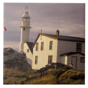Carreau NA, Canada, Terre-Neuve, Lobster Cove. Homard