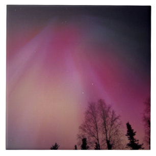 Carreau NA, États-Unis, Alaska, Fairbanks. Rideaux de pour