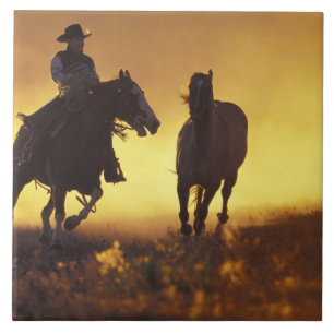 Carreau NA, États-Unis, Oregon, Seneca, Ponderosa Ranch, C