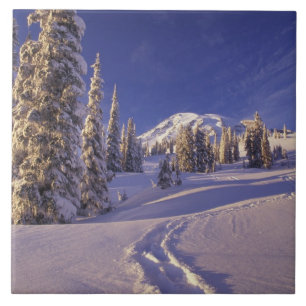 Carreau NA, États-Unis, Washington, Mt. Rainier NP, raquet