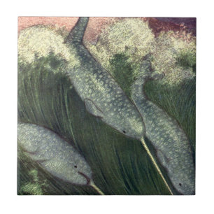 Carreau Narwhals vintages, Vie Marine Baleines Animaux mar