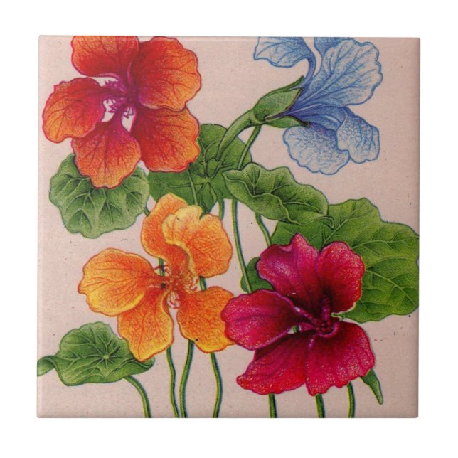 Carreau nasturtium (Devant)