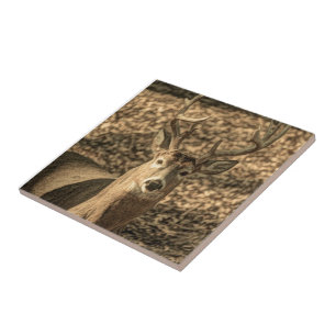 Carreau nature Camouflage outdoor homme cerf blanc