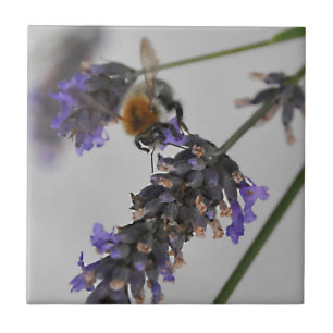 Carreau Natures de merveilleux travailleurs