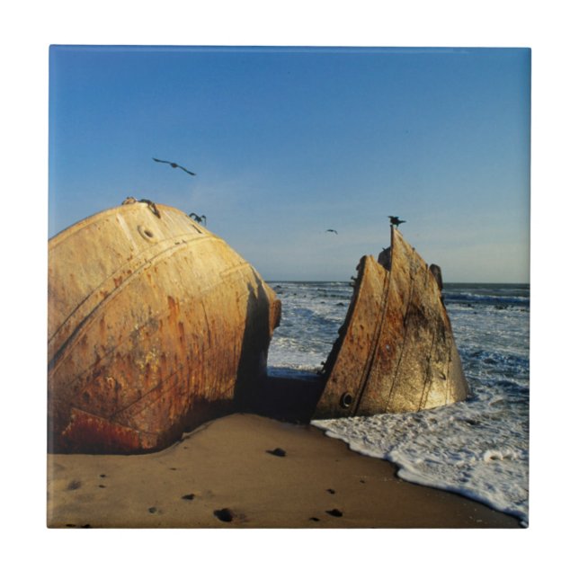 Carreau naufrage Sur La Plage, Skeleton Coast, Namibie (Devant)
