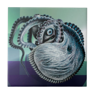 Carreau Nautilus Argonaut de calmar à poulpe vintage