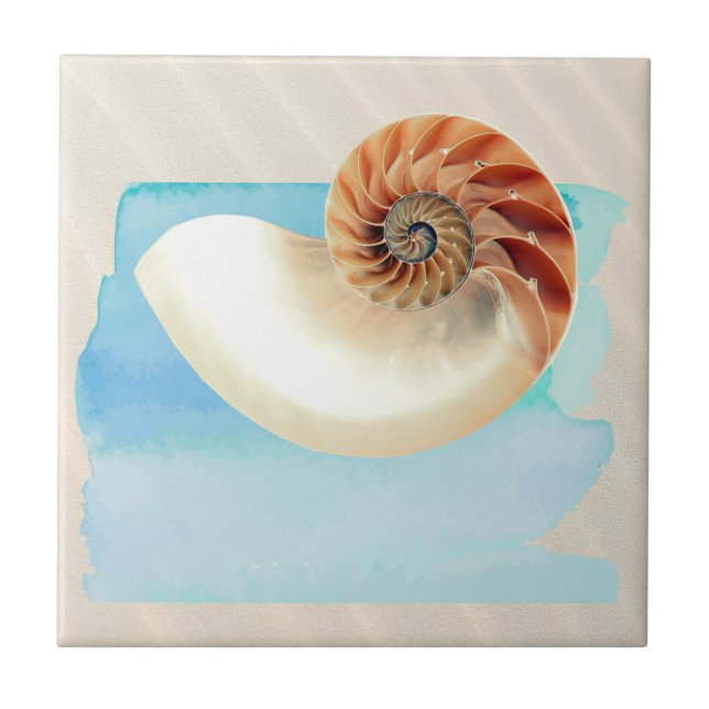 Carreau Nautilus Coquillage et sable (Devant)