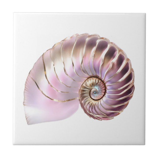 Carreau Nautilus coquillage rose or 3D plage nautique (Devant)