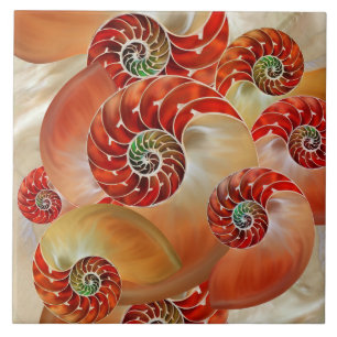 Carreau Nautilus Shells