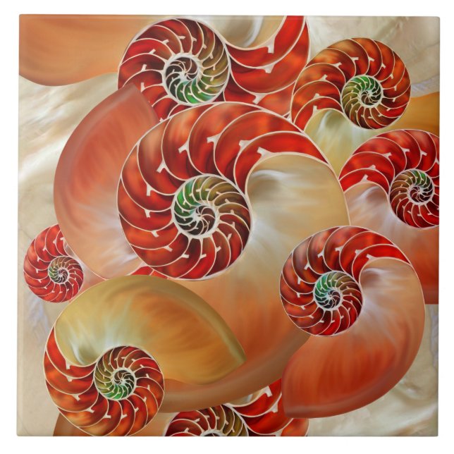 Carreau Nautilus Shells (Devant)