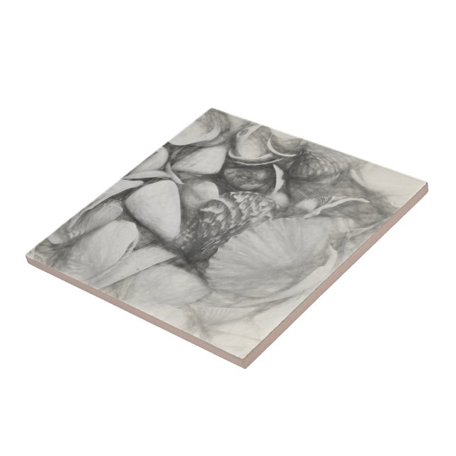 Carreau Nautique Sea Shells Ocean Beach Vintage Antique (Côté)