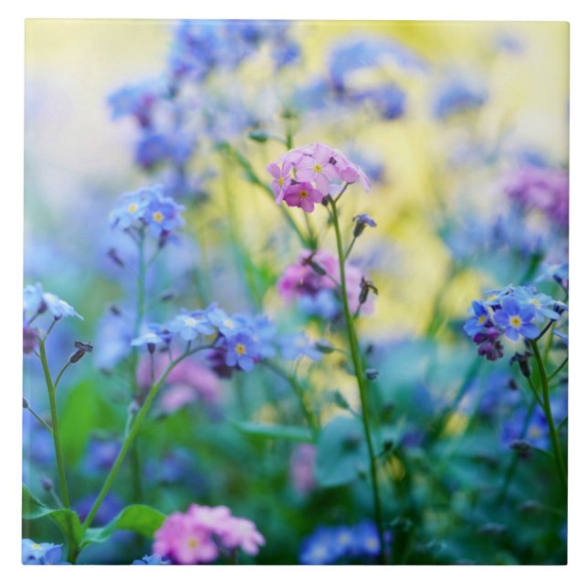 Carreau Ne pas oublier les fleurs (Devant)
