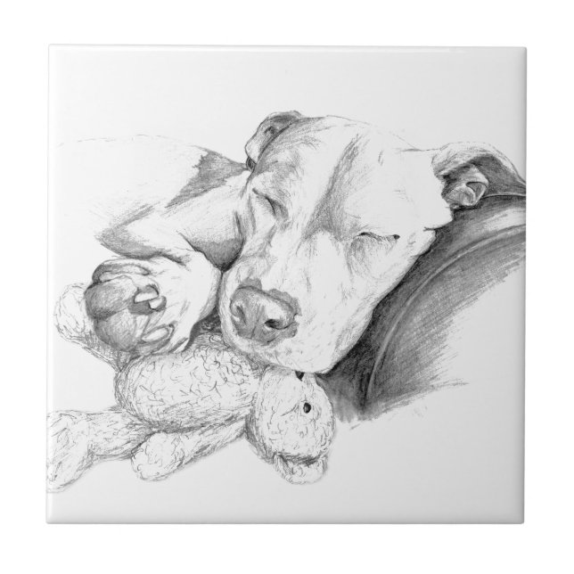 Carreau Ne réveillez pas le chat qui dort (Devant)