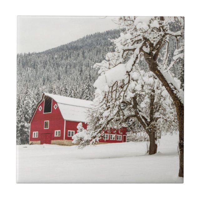 Carreau Neige fraîche sur la grange rouge (Devant)