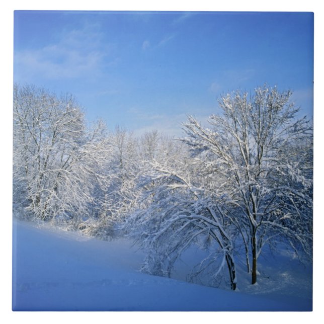 Carreau Neige record à Louisville, Kentucky. (Devant)