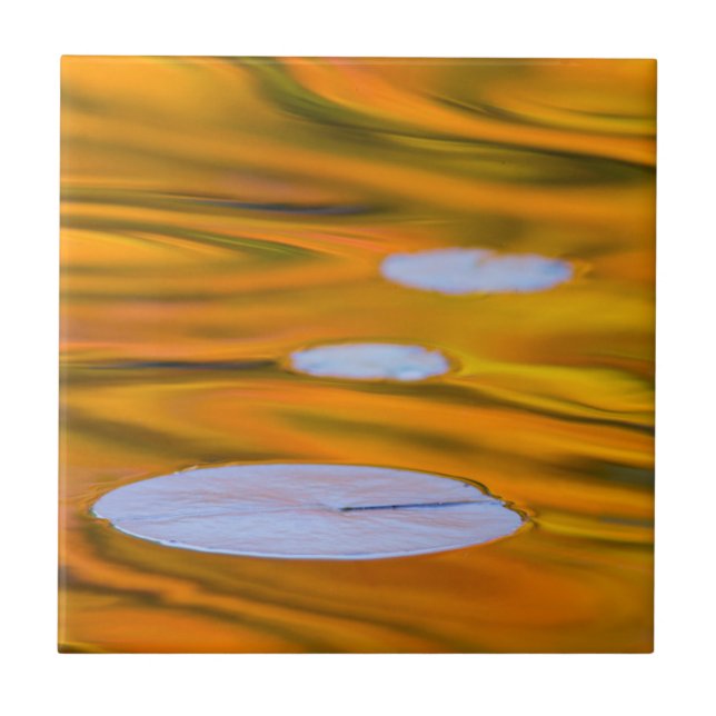 Carreau Nénuphar sur eau orange, Canada (Devant)