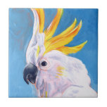 Carreau Neon Mohawk - Cockatoo<br><div class="desc">Neon Mohawk I par Jennifer Paxton Parker. Un cockatoo tropical roche un mohawk de couleur néon. | 162732Z</div>
