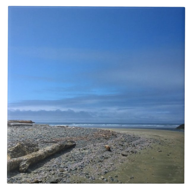 Carreau Neptune State Park, OU (Devant)