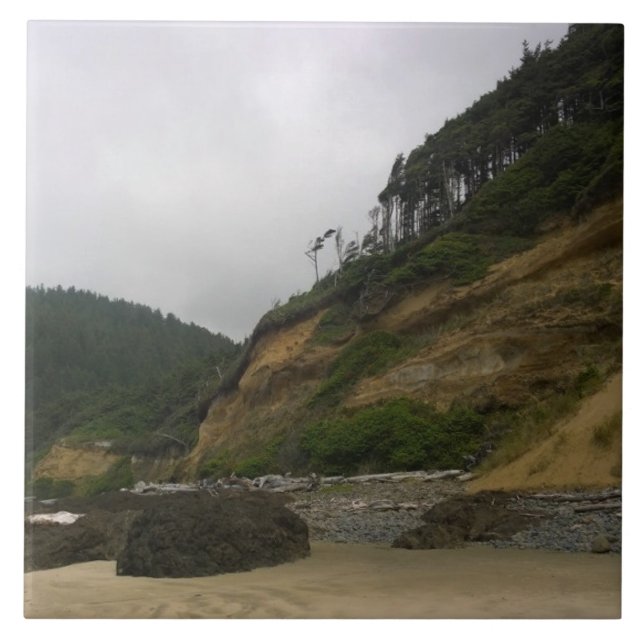 Carreau Neptune State Park, OU (Devant)