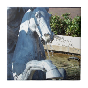 Carreau Neptune's Horse, Plaza Fountain Detail