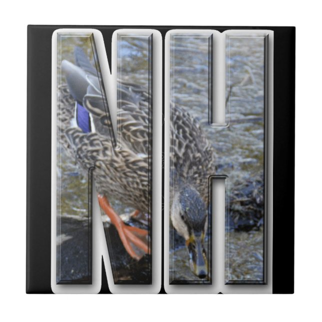 CARREAU NH NOUVEAU HAMPSHIRE (Devant)