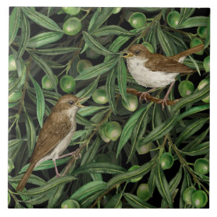 Carreau Nightingales dans l'olivier 3