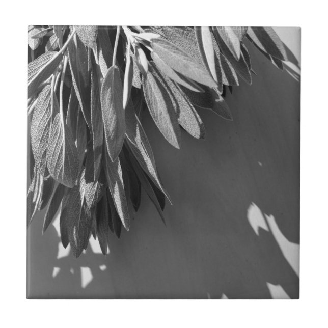 Carreau Niveaux de gris fraichement coupés (Devant)