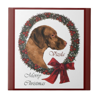 Carreau Noël de Vizsla