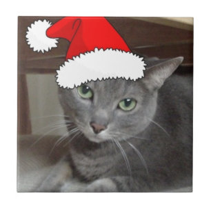 Carreau Noël du chat bleu russe