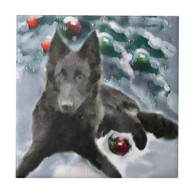 Carreau Noël du chien de berge belge (Devant)