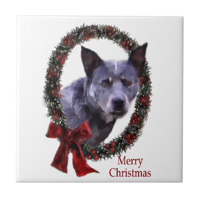 Carreau Noël du chien de bétail australien (Devant)