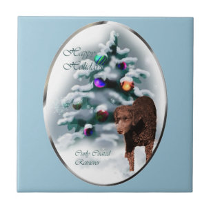 Carreau Noël du Retriever à revêtement curé