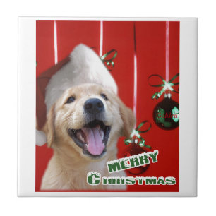 Carreau Noël Golden Retriever