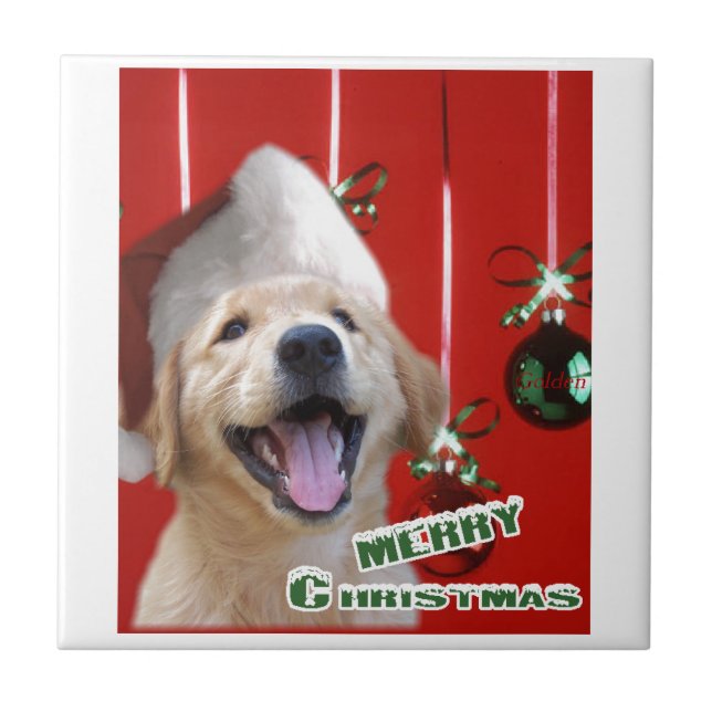 Carreau Noël Golden Retriever (Devant)