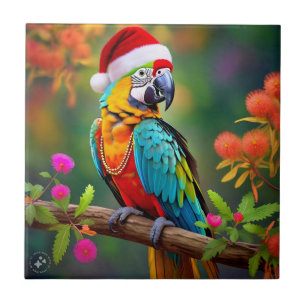 Carreau Noël Macaw Porté Un Chapeau De Père Noël-56485