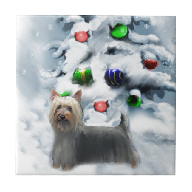 Carreau Noël Silky Terrier (Devant)