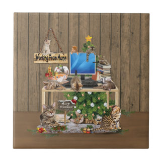 Carreau Noël - Travailler à la maison avec mes chats