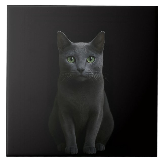 Carreau Noir 4 Luxe avec Chat Bleu Russe (Devant)