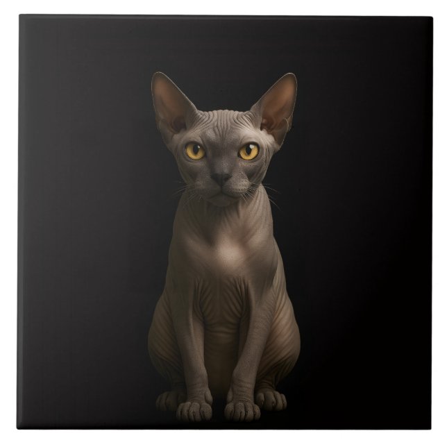 Carreau Noir 4 Luxe avec Chat Sphynx (Devant)