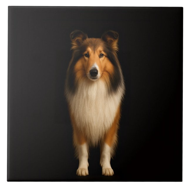Carreau Noir 4 Luxe avec Chien Collie Loyal (Devant)