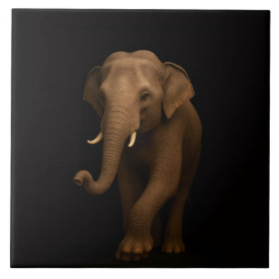 Carreau Noir 4 Luxe avec Élégant Éléphant Indien