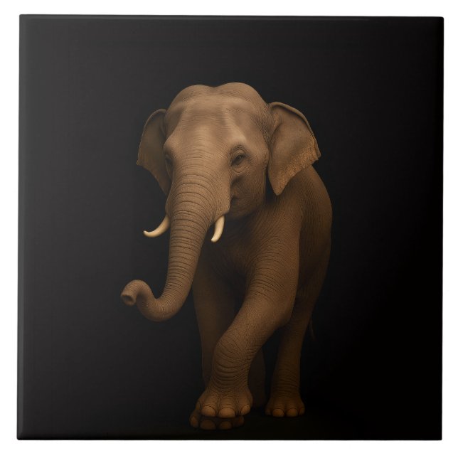 Carreau Noir 4 Luxe avec Élégant Éléphant Indien (Devant)