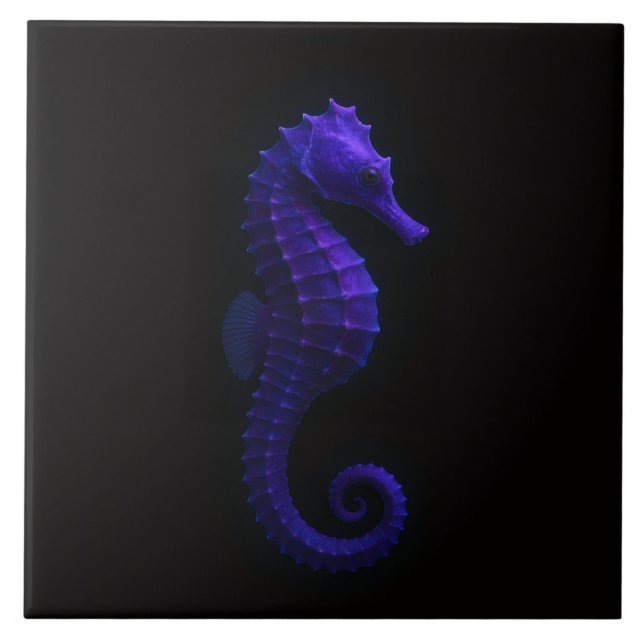 Carreau Noir 4 Luxe avec Hippocampe Bleu Violet (Devant)