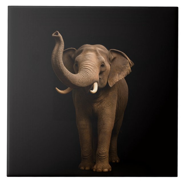 Carreau Noir 4 Luxe avec l'Éléphant Puissant (Devant)