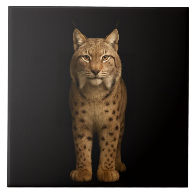 Carreau Noir 4 Luxe avec Lynx Silencieux (Devant)